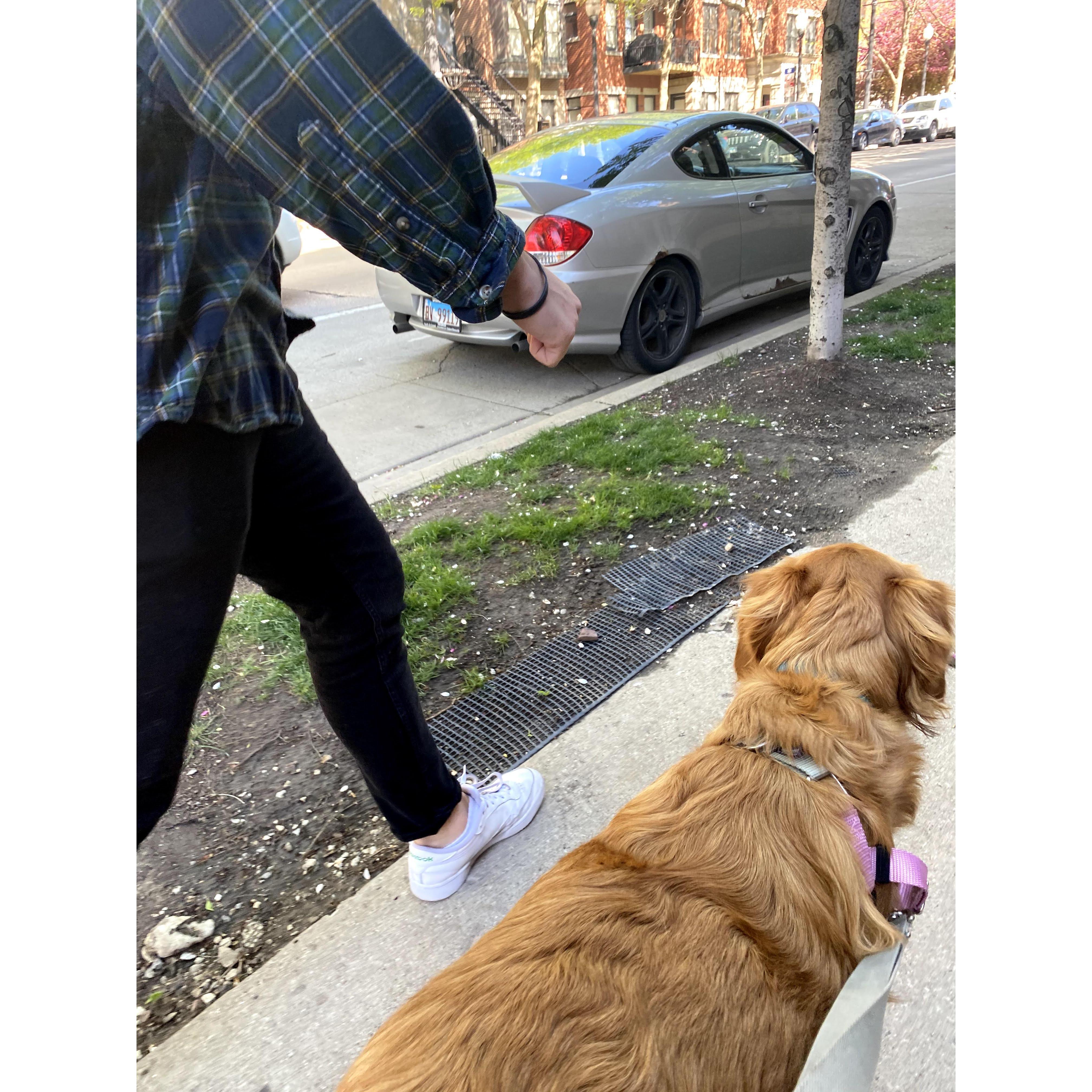 lots of walks to get coffee + puppuccinos