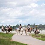 Get Outside while you are Lexington