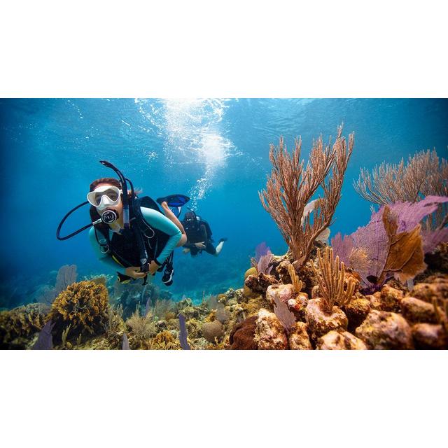 Open Water Diver Certification for Kendall