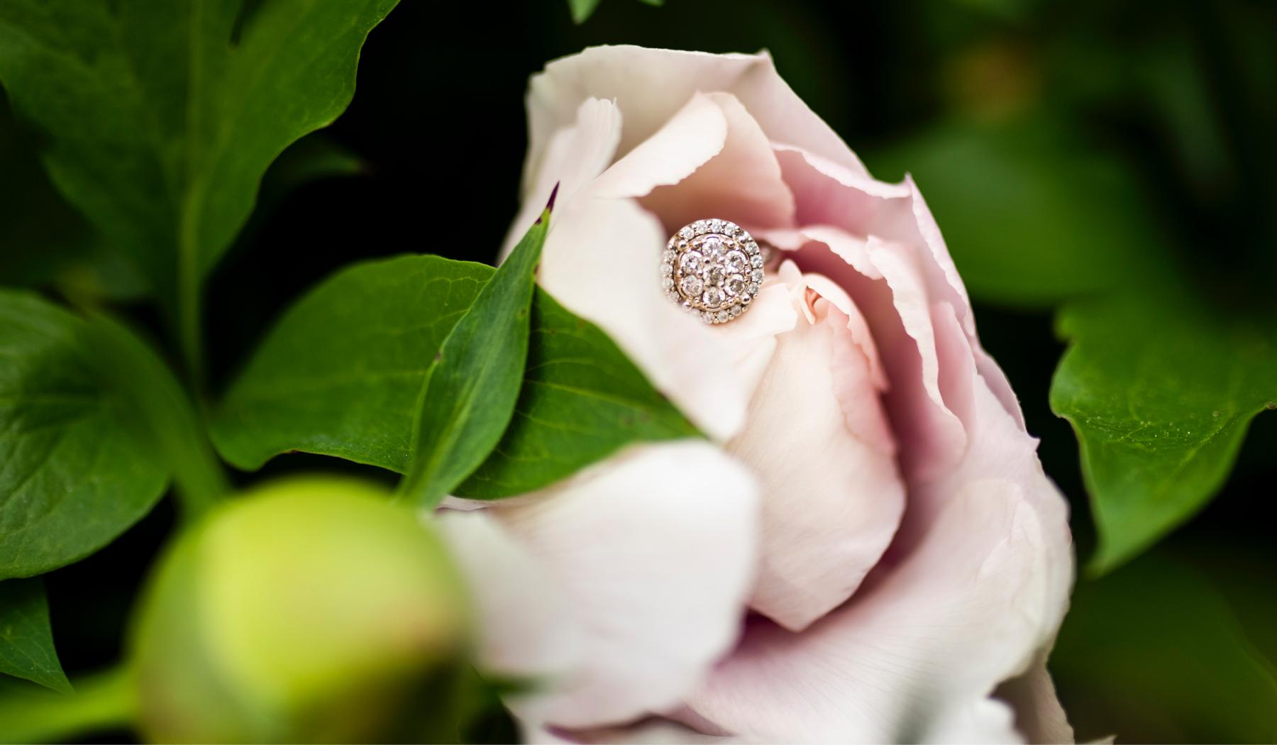 The Wedding Website of Morgan Soles and Derrick Montague