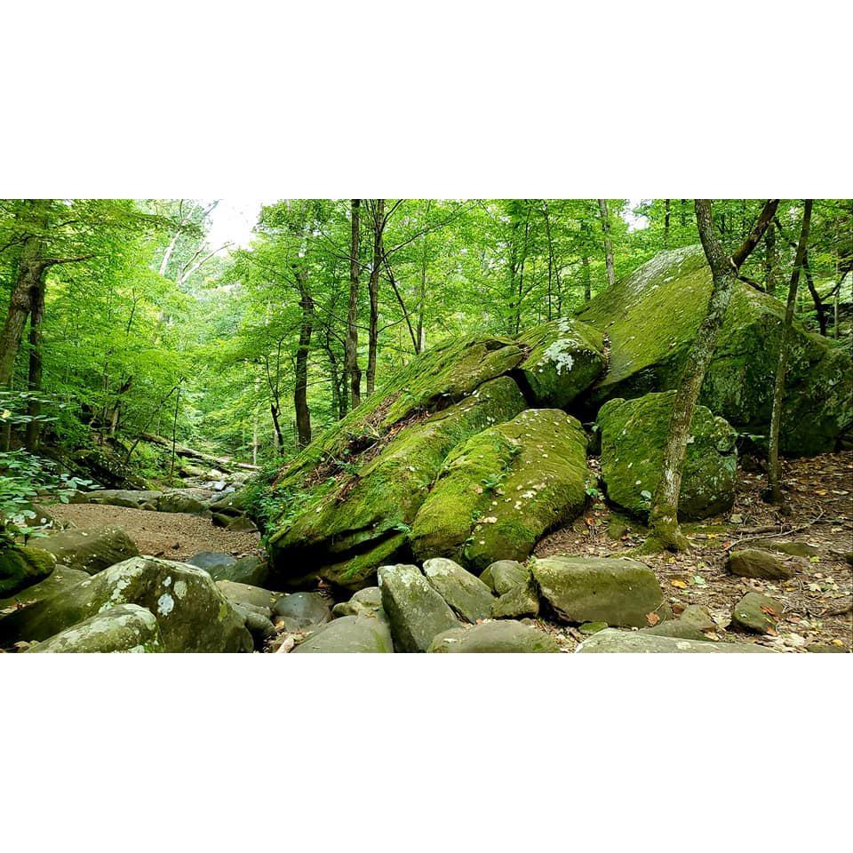 Shawnee National Forest - Herod, IL. What can I saw about this one. We have been chased by swarms of horseflies and broke toes. But we'd go again lol