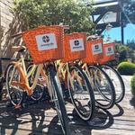 Bicycle Rental in Horto Florestal Campos Do Jordao by Zoom Aventura