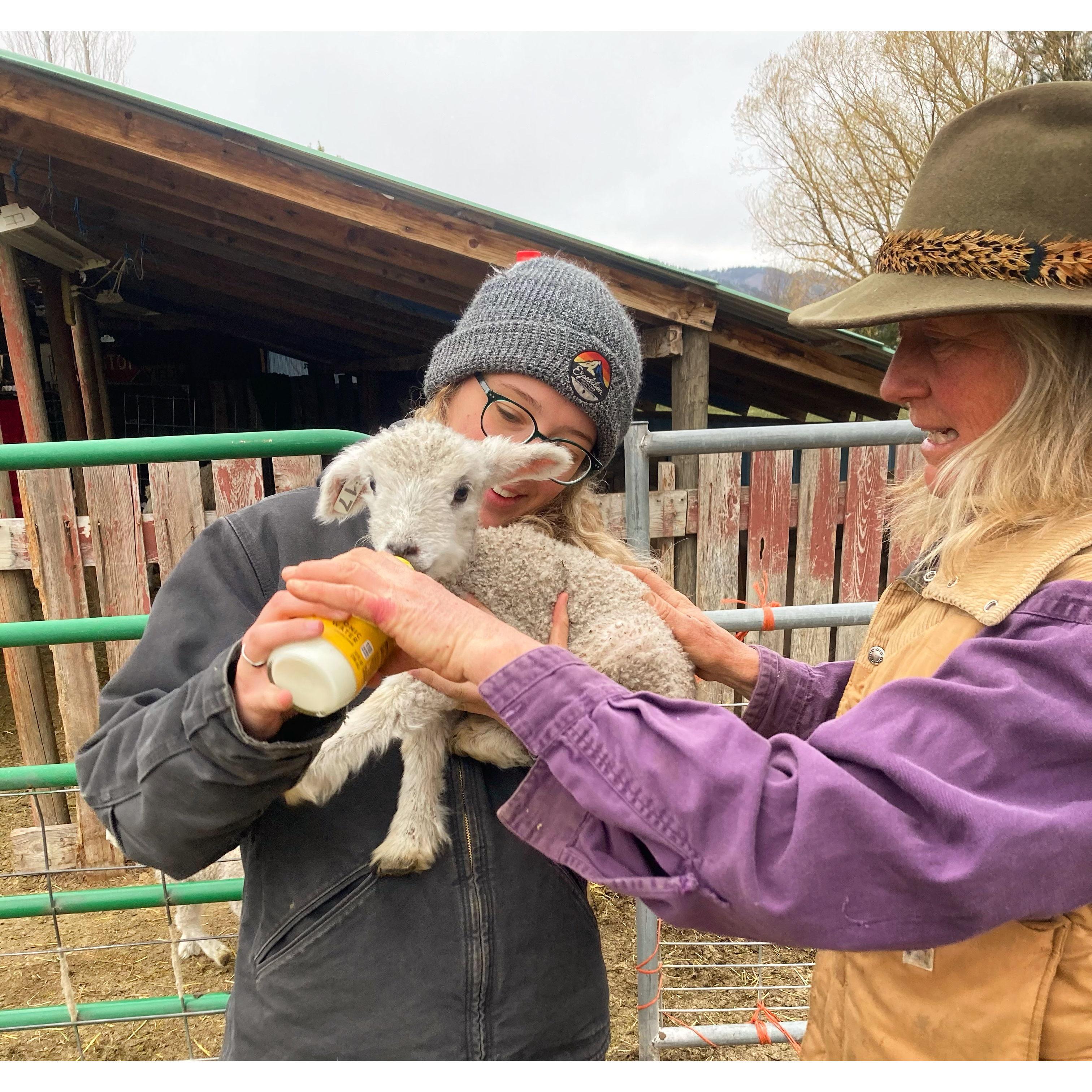 June's sheep farm held a lot of our early memories together