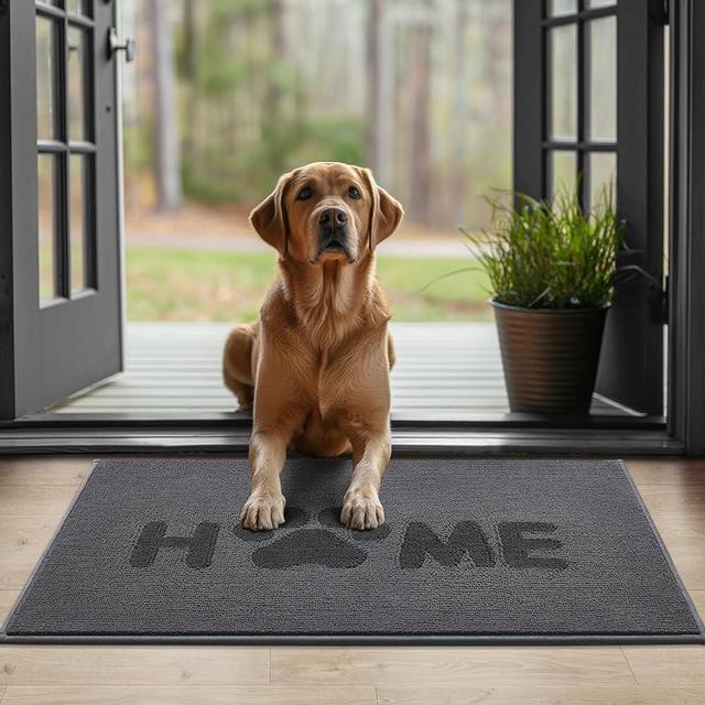 Villsure Door Mat Indoor,Low Profile Front Door Mats Indoor Outdoor Entrance, Non-Slip/Skid Machine Washable Indoor Doormat,Absorbent Resist Entryway Rug Easy Clean,Dark Gray,20"x32"