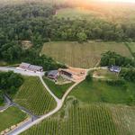 Bluemont Vineyard