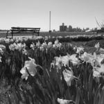 Belle Isle