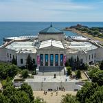 Shedd Aquarium