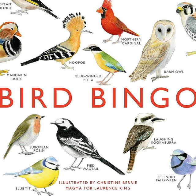 Laurence King Publishing Bird Bingo
