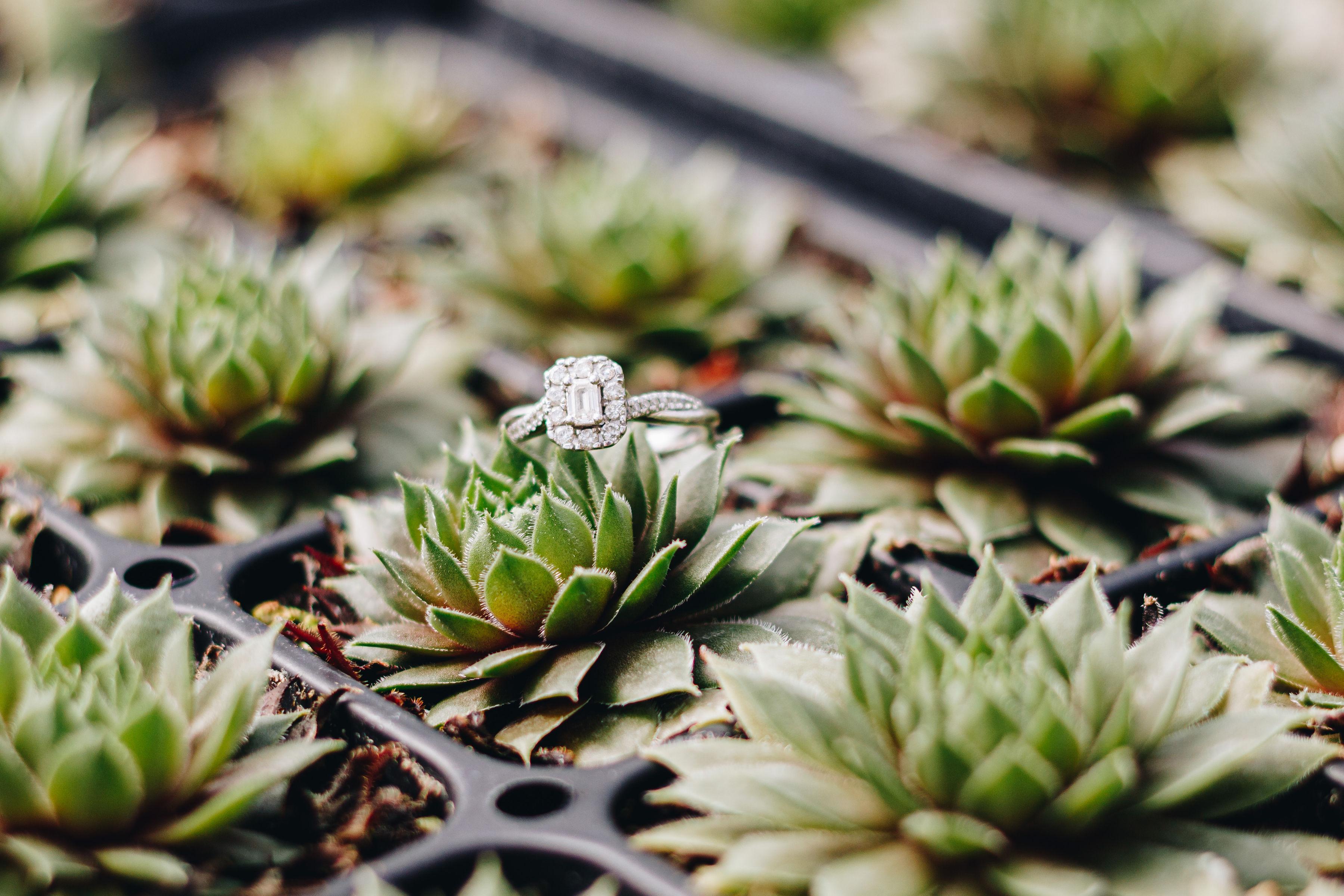 The Wedding Website of Sarah Heilman and Eric Irizarry