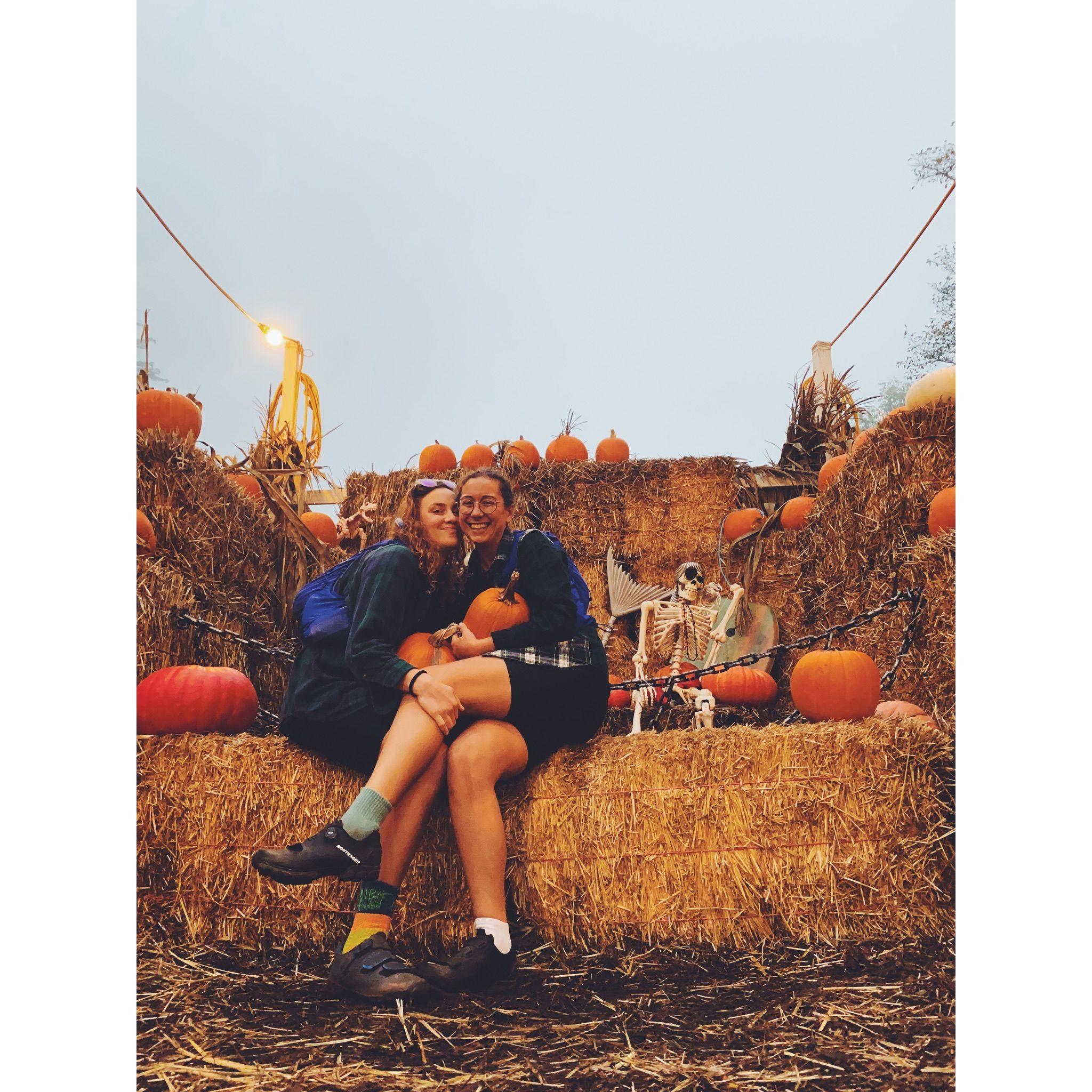 we love pumpkin patches can you tell