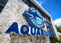 Mote Marine Laboratory & Aquarium