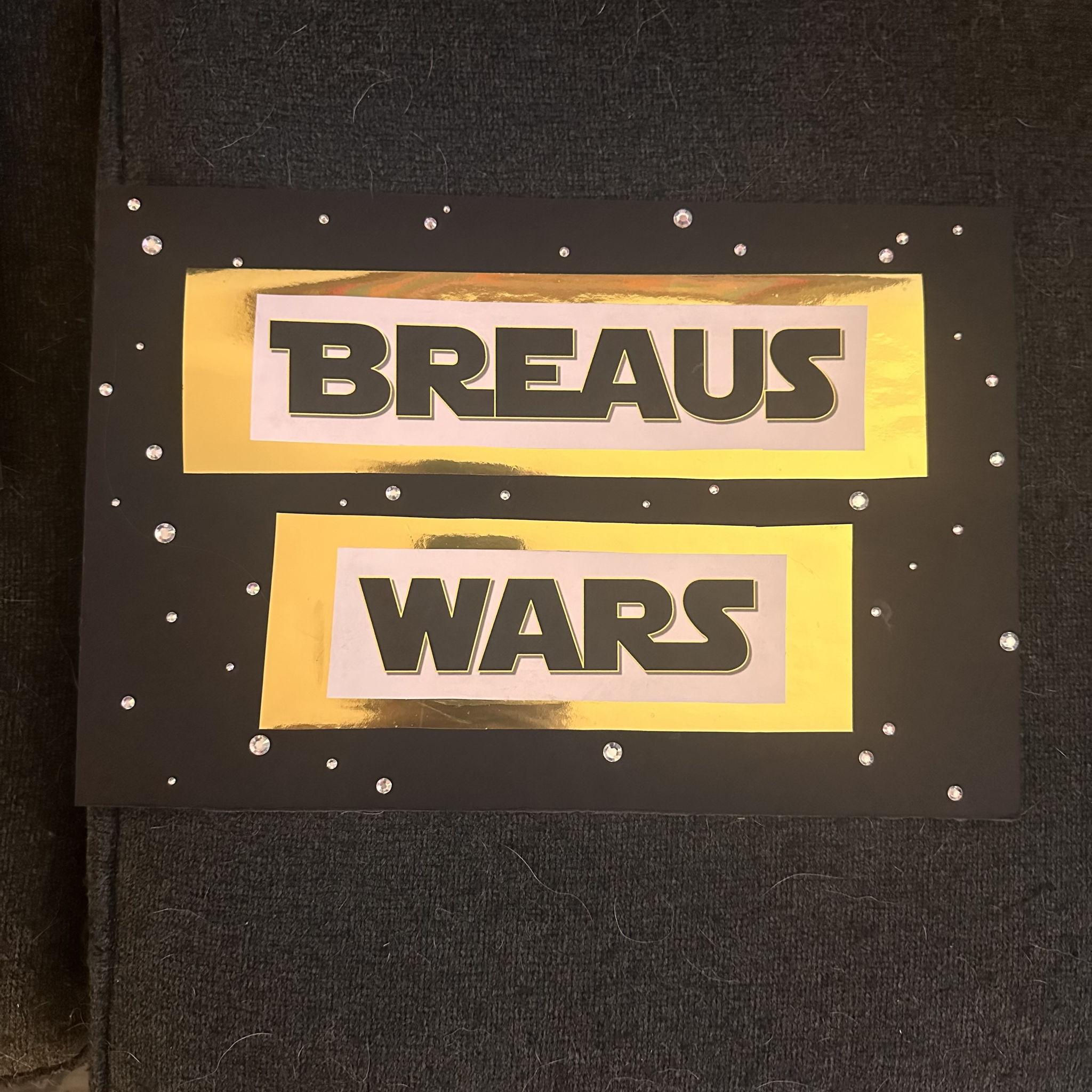 All of our friends were holding signs during the engagement, this was the beginning of the Breaus Wars!