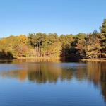 Bowie Nature Park
