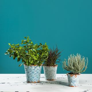 Piastrella Mini Pot