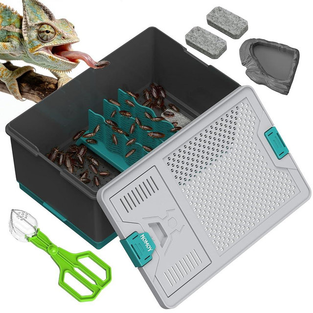 NOMOY Self-Cleaning Reptile Feeder Insect Habitat with Escape-Proof Lid, Removable Climbing Frame, Water Sponge & Bug Spoon – Cricket/Roach Enclosure, Easy-Clean, Ventilated for Lizards, Frogs & Pets