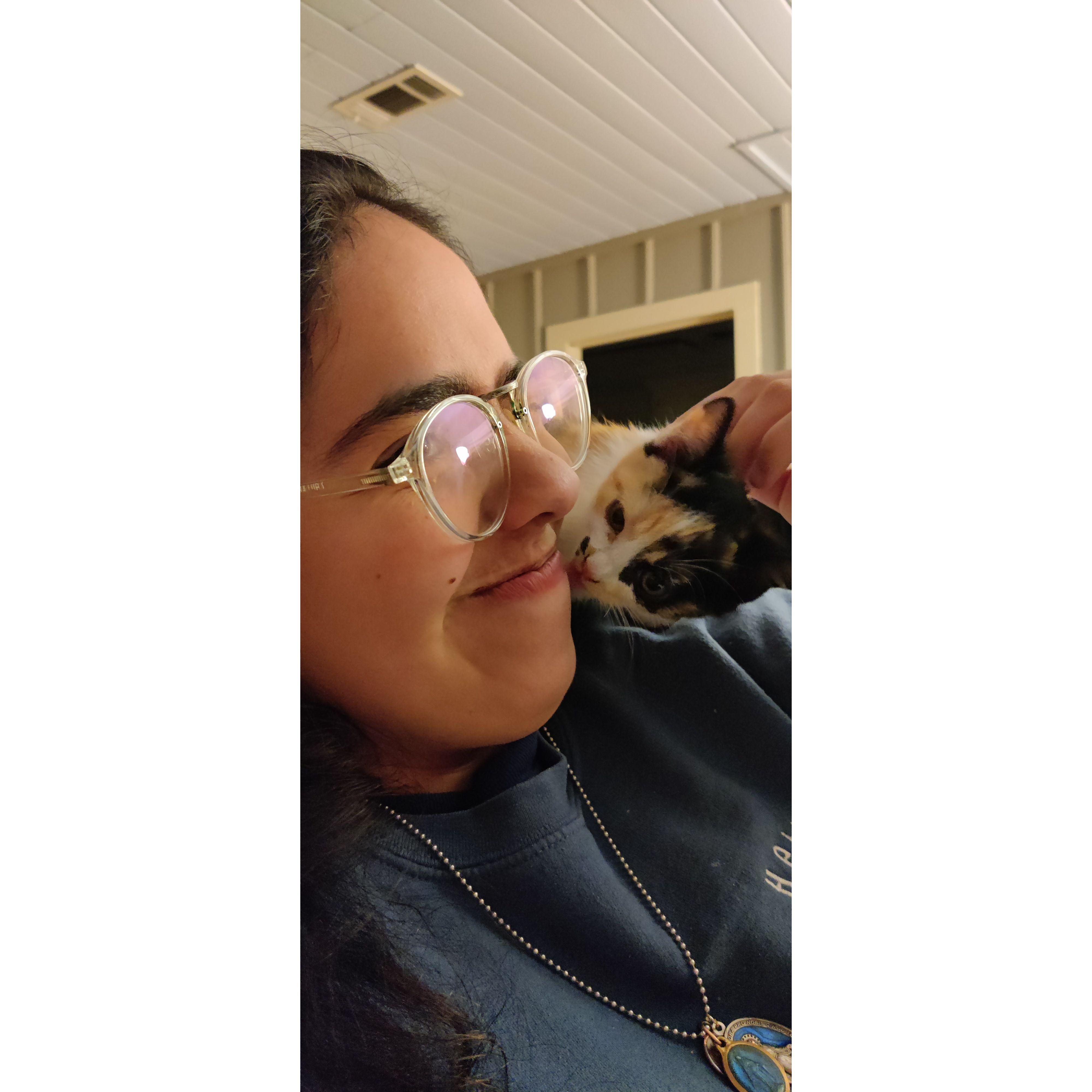 DnD session + random kitty spawned in