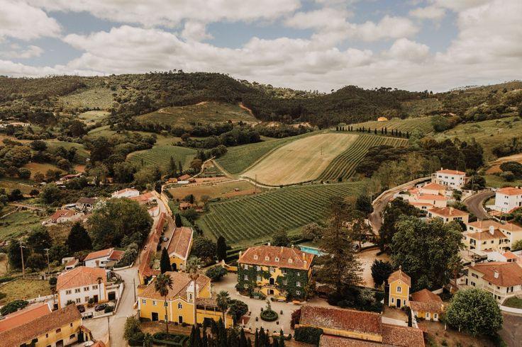 The Wedding Website of Alexandra Sirocky and Cameron Waterhouse