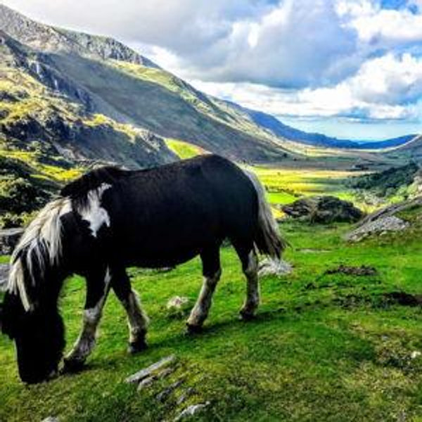 North Wales Adventure Sightseeing Day Trip