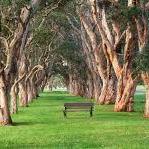 Centennial Park