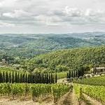 Chianti Wineries