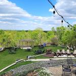 Another Wine Tasting