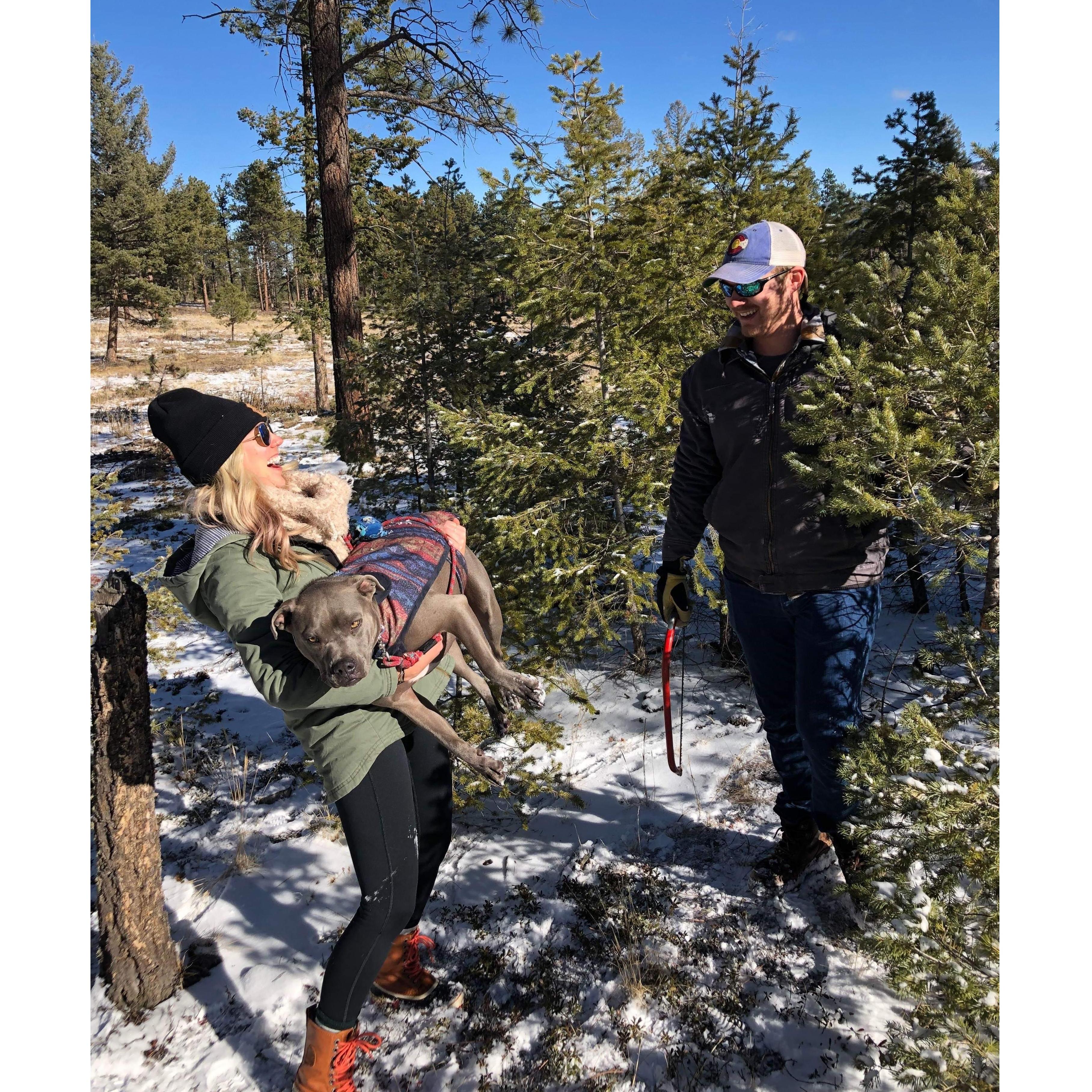 Picking their first Christmas Tree.