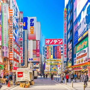 Ally and Will take Japan