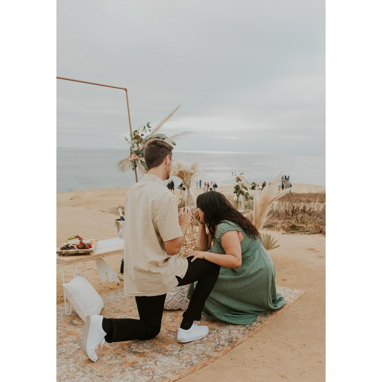 The proposal, June 4th 2021