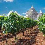 Wineries