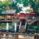 Sassafras Springs Vineyard and Winery