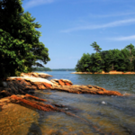 Wolfe's Neck Woods State Park