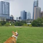 Auditorium Shores at Town Lake Metropolitan Park