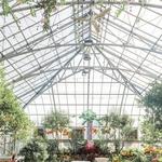 Krohn Conservatory