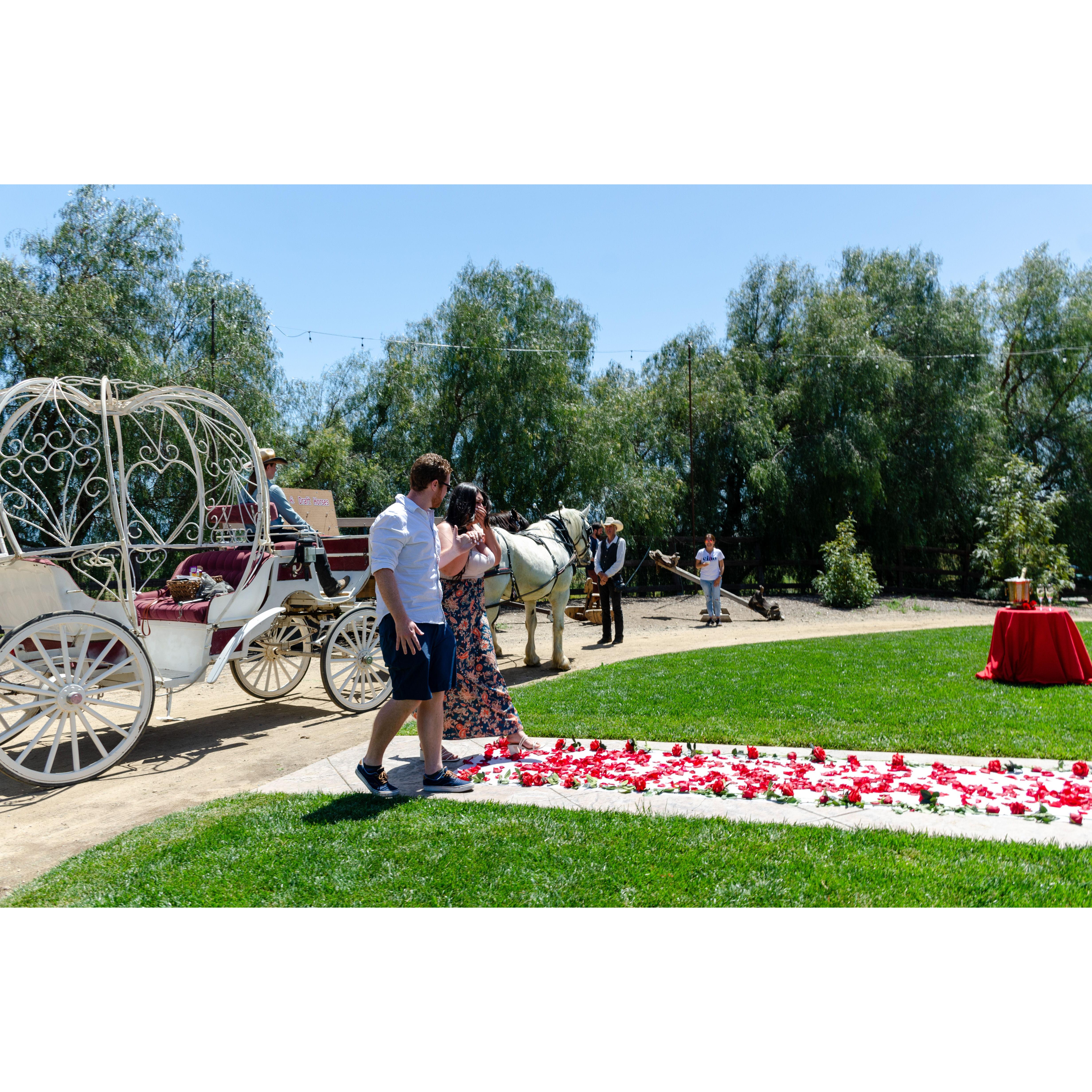 Walking down a rose covered isle