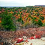 Blue Hills Reservation