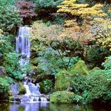 Rose Gardens & Japanese Gardens