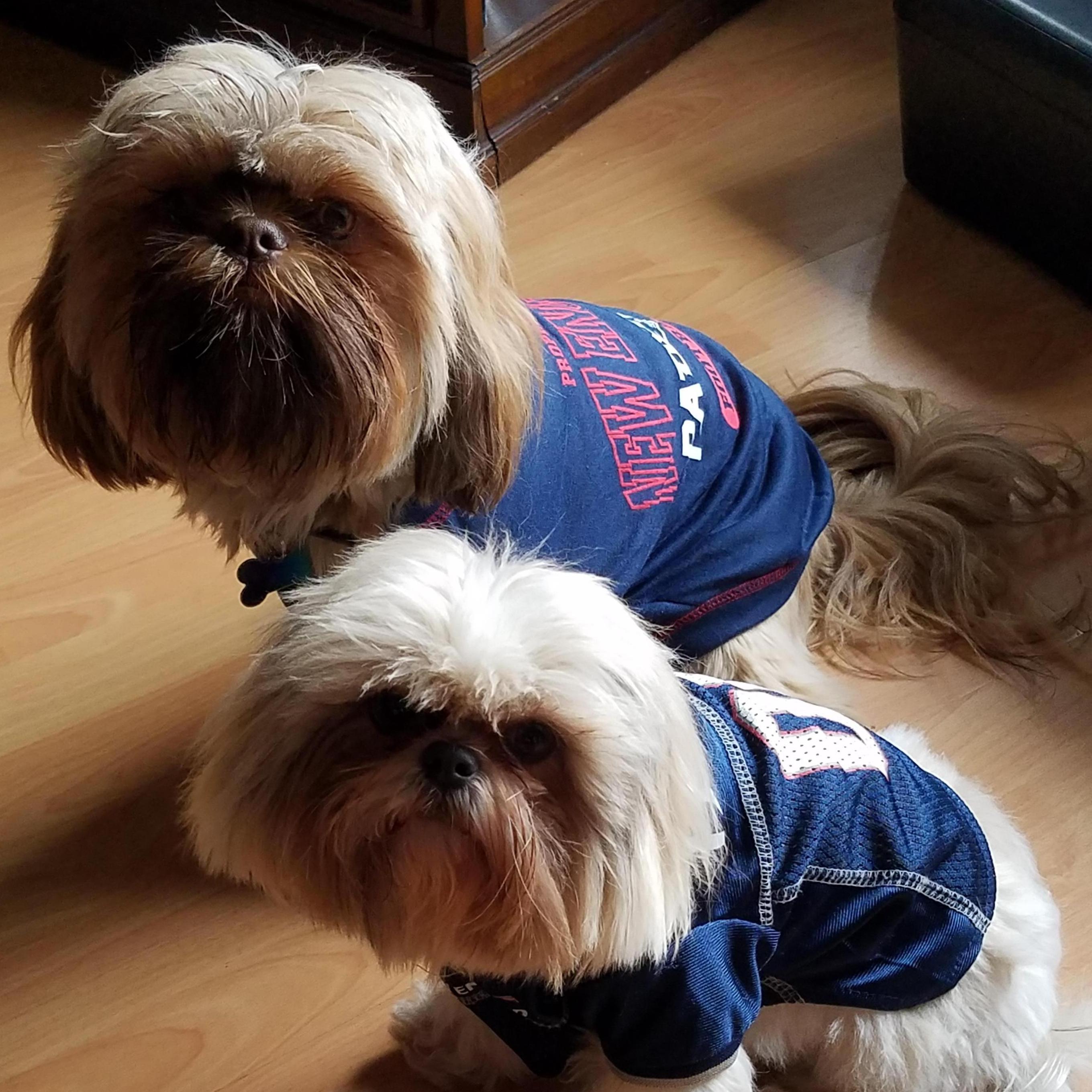 Football season.  The pups went to the dark-side...or according to Jessica, the right side.