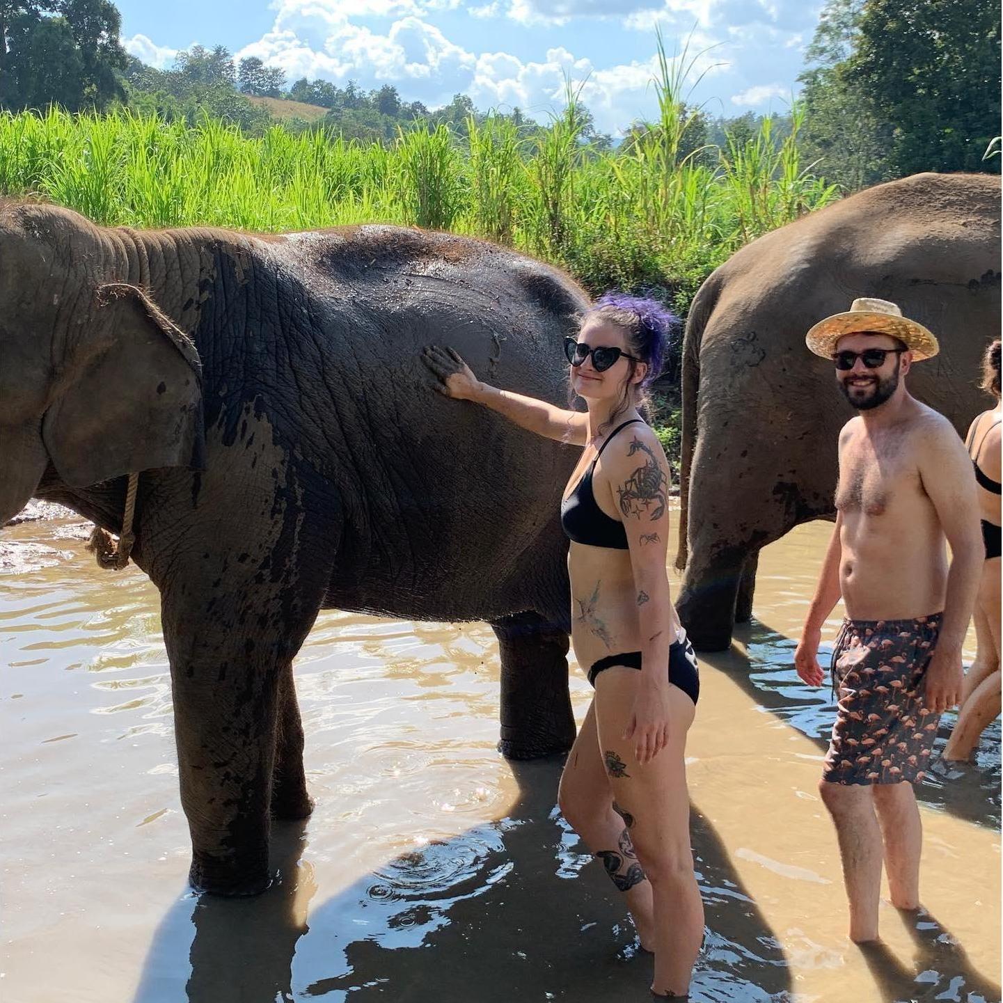 Bathing elephants in Chang Mai, Thailand.
November 2019