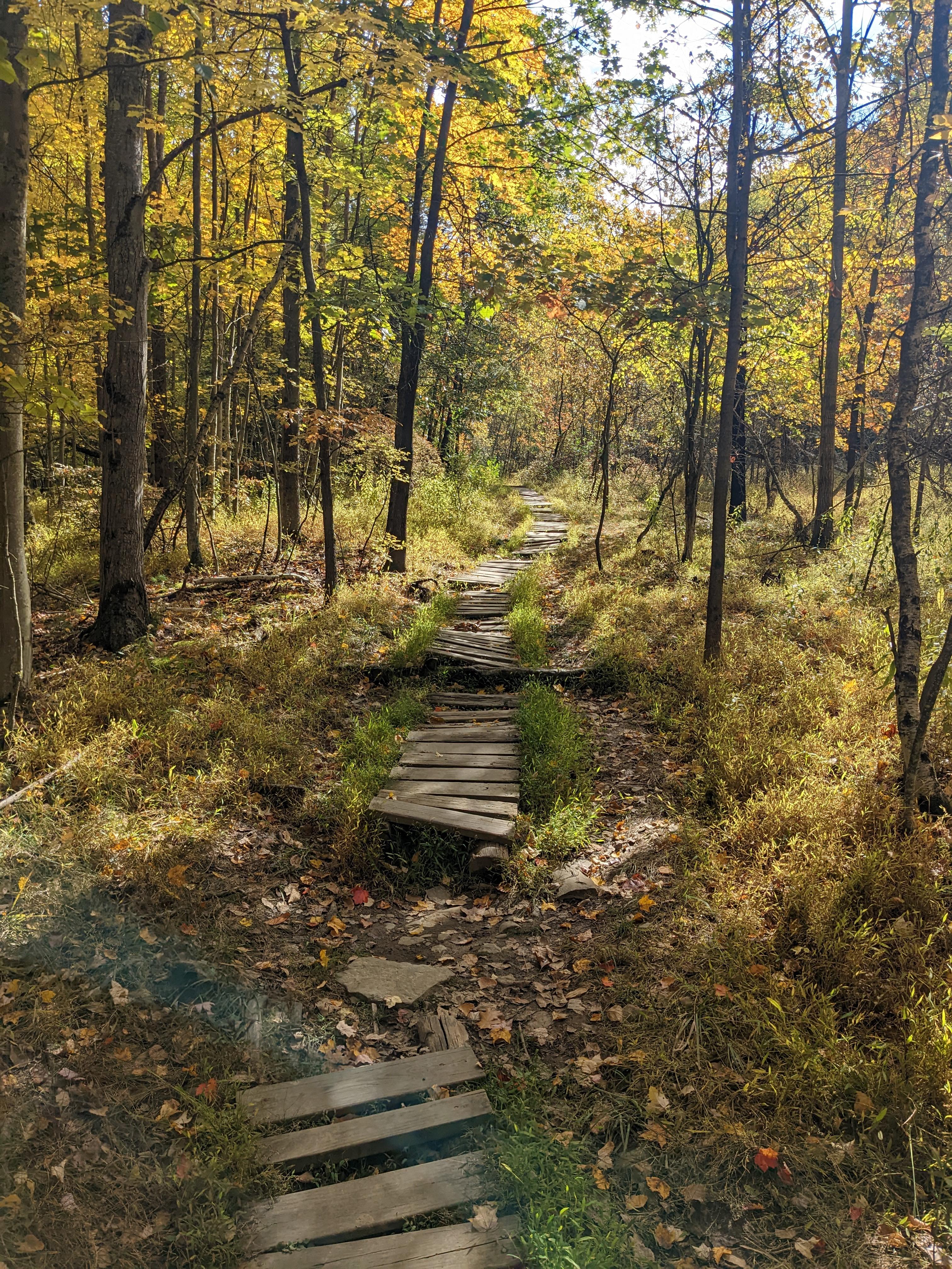 The Wedding Website of Abigail Godfroy and Jeremiah Godfroy