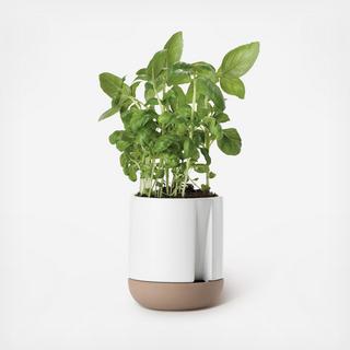 Herb Self Watering Pot