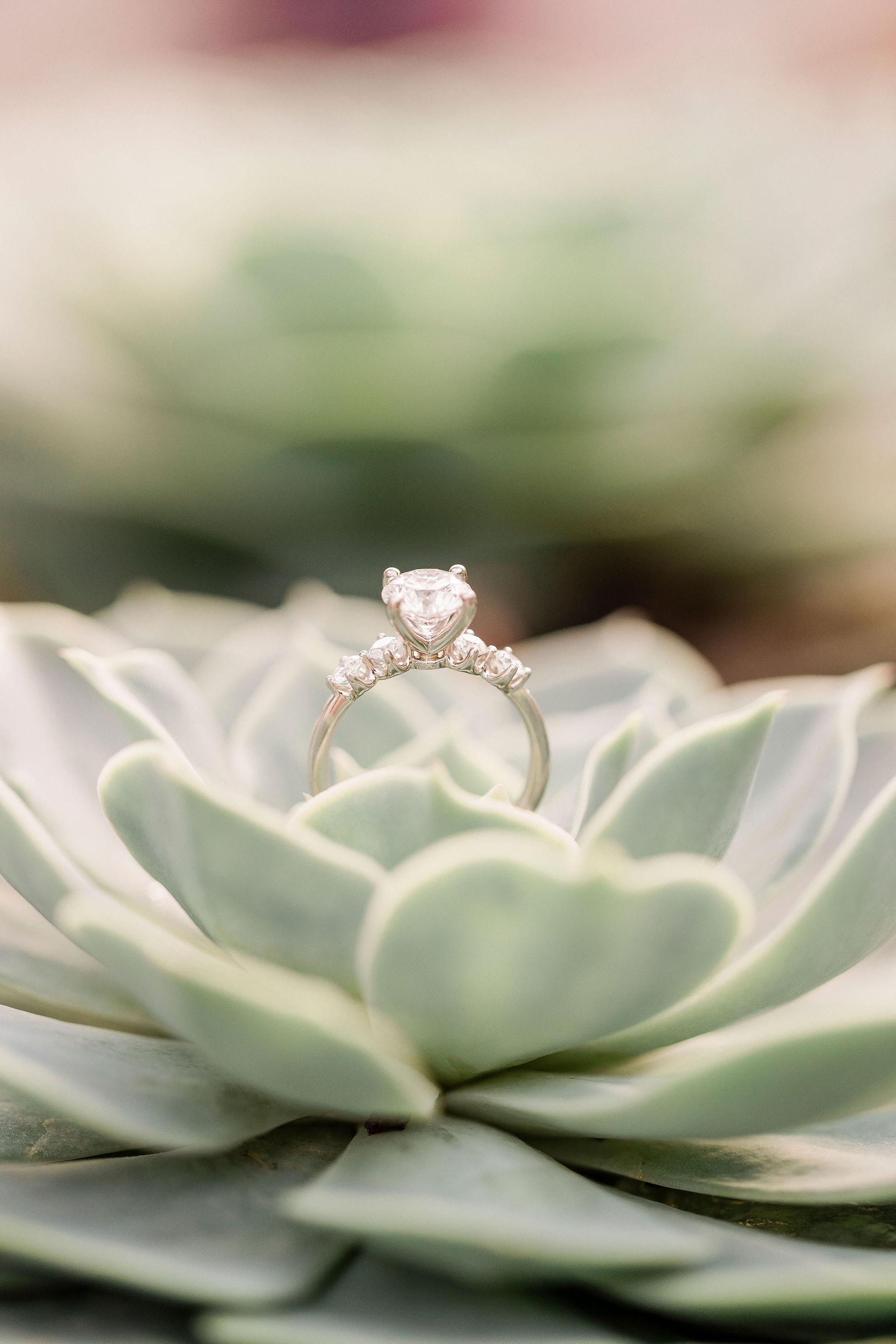 The Wedding Website of Kristen Trione and Joe Haupt