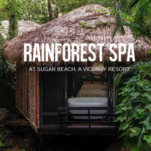 Couples Ultimate Rainforest Spa Experience