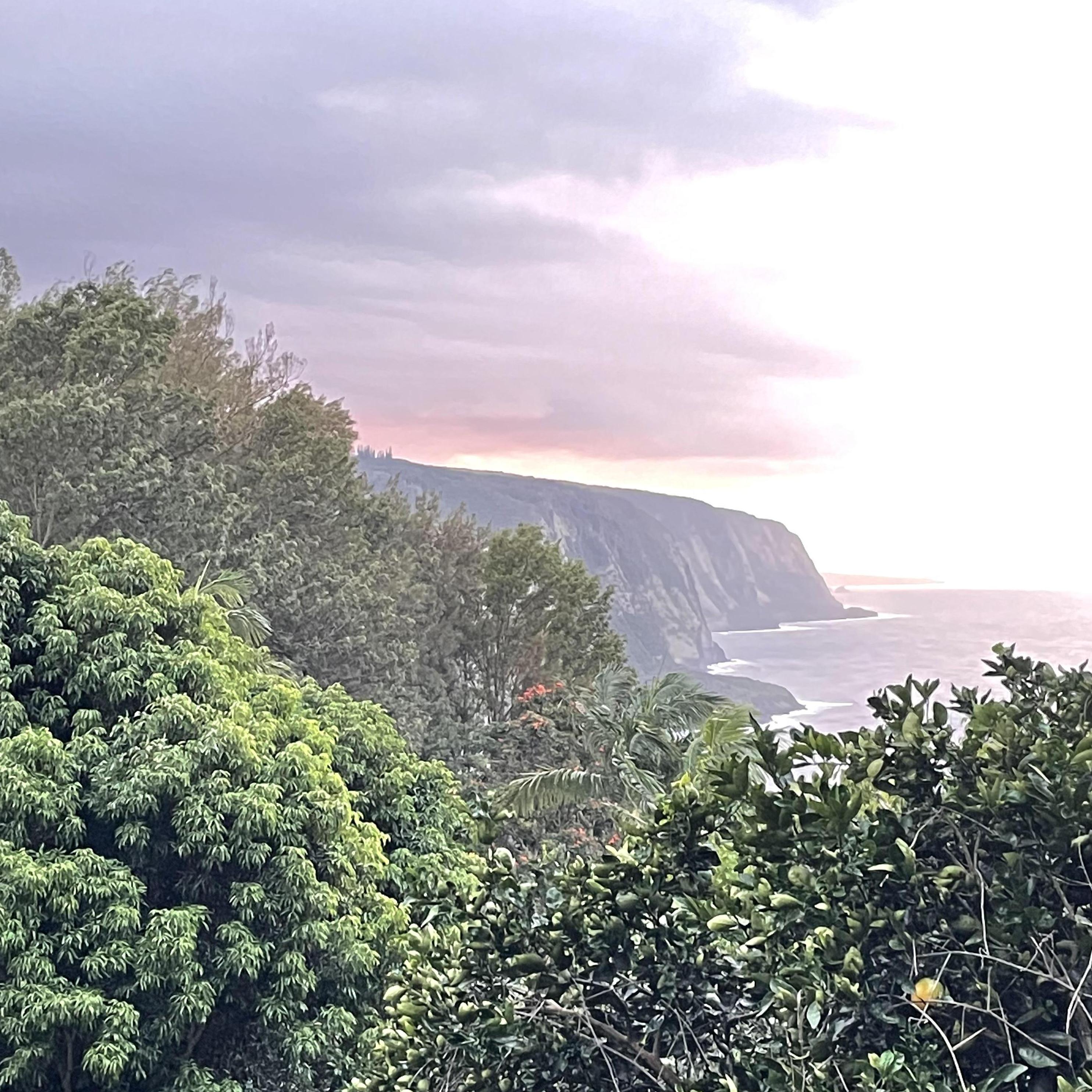 Hawaii, March 2021, looking out over the Waipio Valley