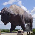National Buffalo Museum