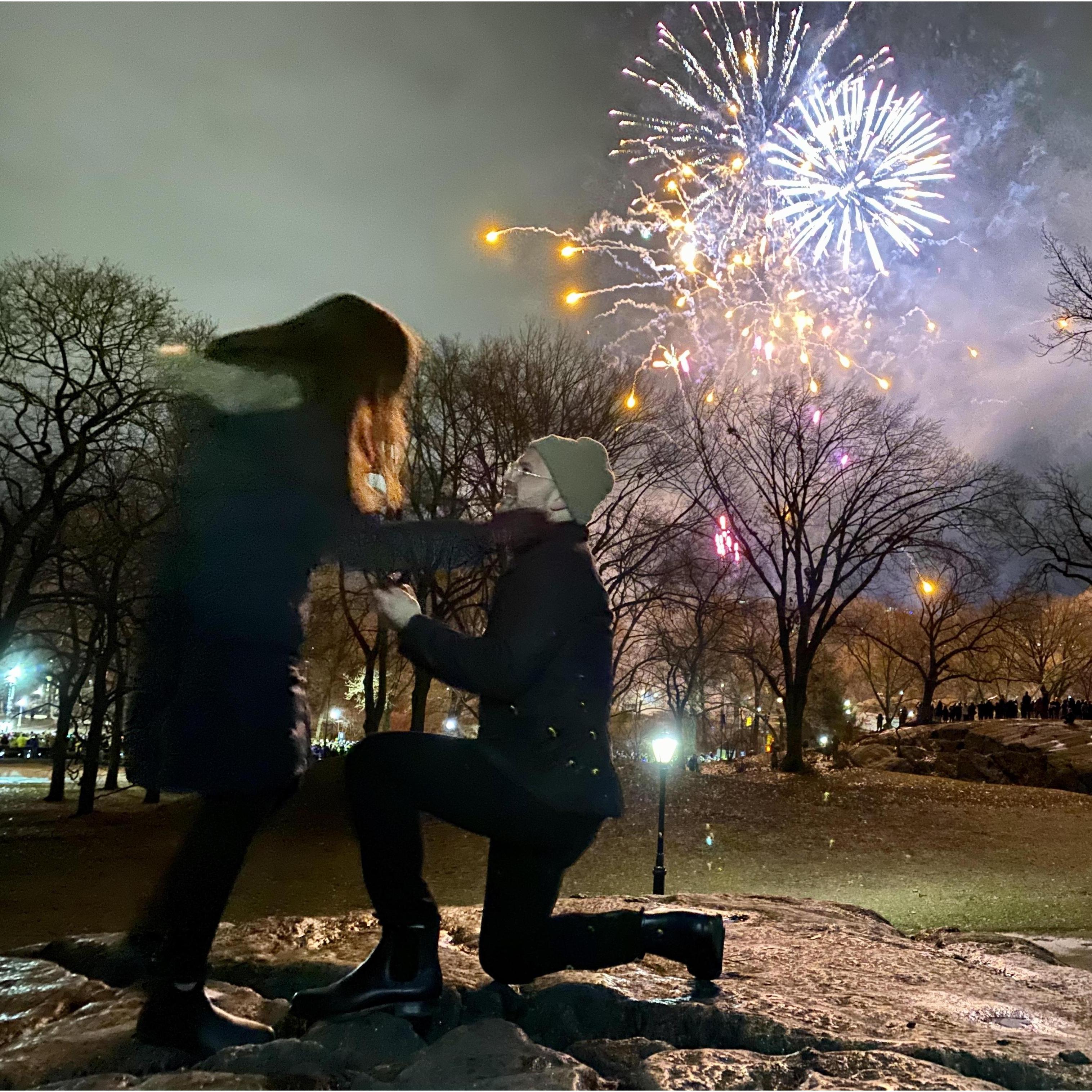 Proposal night in NYC’s Central Park 01/01/2020.