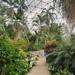 Greater Des Moines Botanical Garden