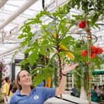 Behind The Seeds Greenhouse Tour