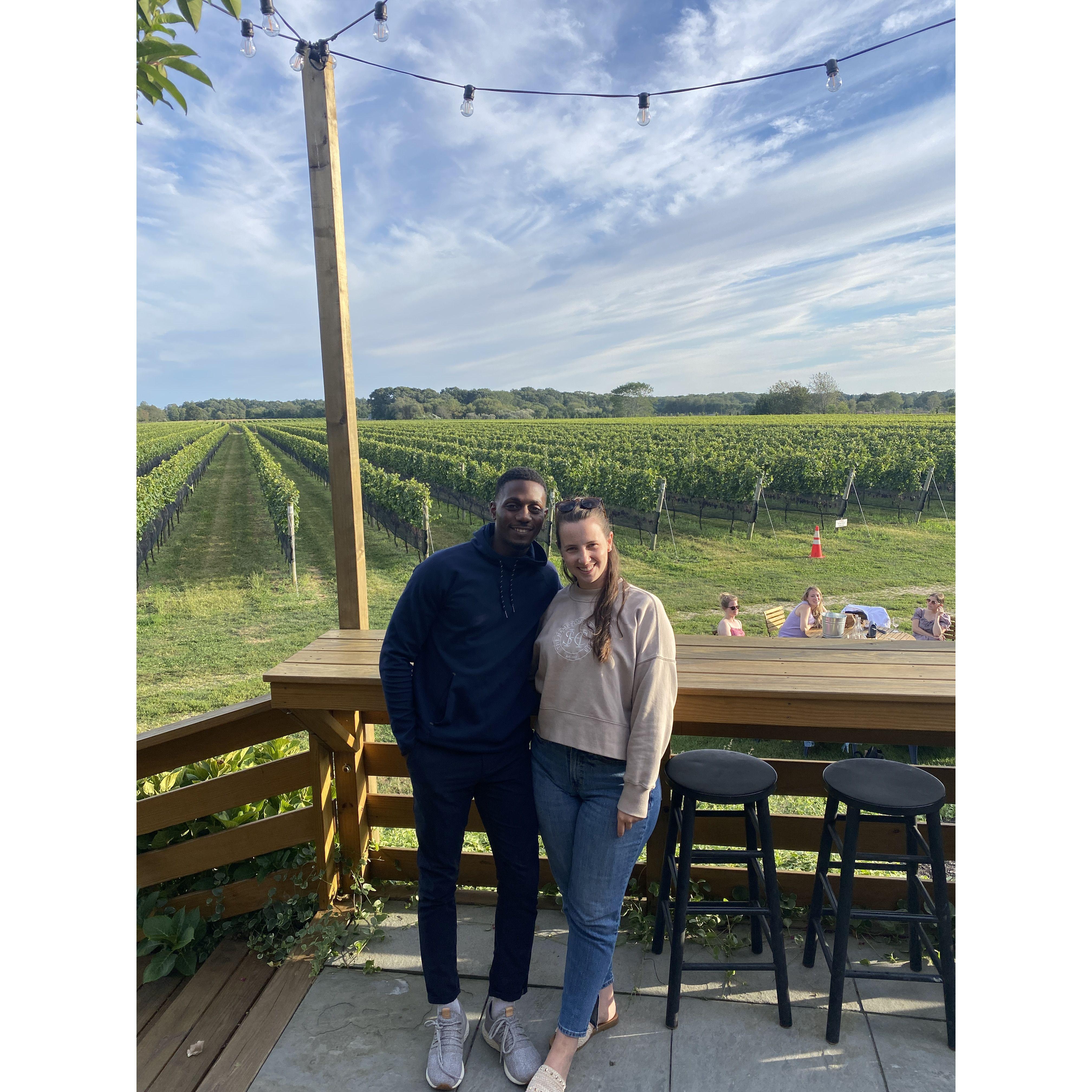 Vineyard on Long Island