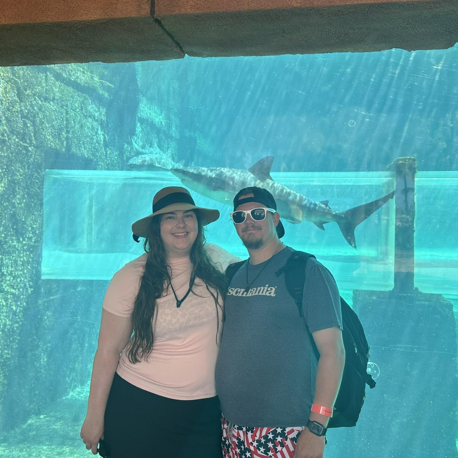 Cruise to the Bahamas!