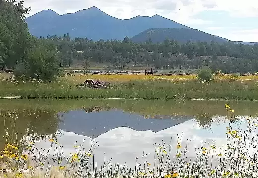 The Wedding Website of Kellie O'Hanian and Andrew Webb